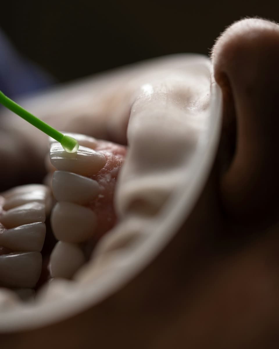 A close-up of a green interdental brush cleaning between a patient's lower teeth